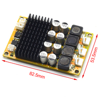 Carte d'amplificateur audio numérique professionnel de classe D à double canal 2x60W CA-3118 pour récepteurs et enceintes DC8-24V
