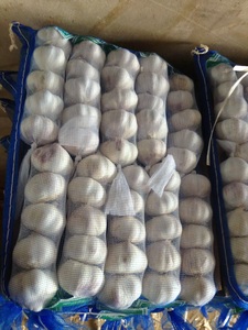 2025 Fresh Crop <strong>Garlic</strong> 3 4 5pcs 10kg Carton Packaging China Supplier 4.5-6.5cm Bulk <strong>Garlic</strong> <strong>Seed</strong> for Sale - Product Image 6
