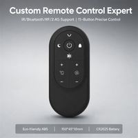 Fabricant de télécommandes personnalisées RCT3011 IR BLE RF 2.4G Contrôleur à 11 boutons pour chauffage de camping-car, cheminée, purificateur d'air
