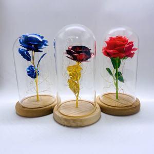 ग्लास गुलाब के गुंबद में हमेशा के लिए लंबे समय तक स्थायी अमर संरक्षित गुलाब के गुम्बद में गुलाब के गुंबद में - Product Image 5
