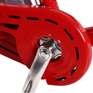 Triciclo Eléctrico Tortia de 20 Pulgadas con Batería de Litio de 48V para Pasajeros con Cesta Delantera y Trasera - Product Image 5