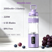 Fruit Smoothies Juicer 600ml Milkshake Draagbare Blender 6000mAh 220W Sapbeker met 6 messen FCC CE Reach Camping Vissen RV