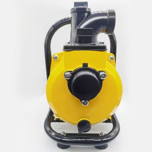 Bomba de Agua Solar sin Escobillas de 2 Pulgadas, Alta Presión, Gran Caudal, Autocebante, Centrífuga, para Aguas Residuales, Uso Agrícola e Industrial - Product Image 2