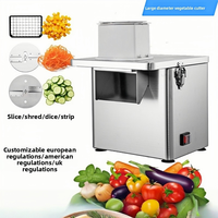 Commerciële multifunctionele elektrische snijmachine voor bakkerijen, fruit, groenten en aardappelen, van voedselveilig roestvrij staal