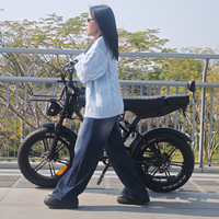 Vélo électrique tout-terrain NL Warehouse X70 pour femme, Fatbike, E-bike à suspension intégrale, 20 pouces, style rétro, VTT électrique pas cher