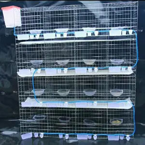 Hot Selling Durable Pigeon Cage Breeding Cage With Pigeon Cage Accessories For Sale