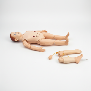 Modelo de Anatomía Pediátrica Desmontable, Maniquí Pediátrico para Enseñanza Médica - Product Image 3