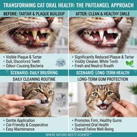 Dentifrice pour chat aux enzymes bioactives et lactoferrine – Éliminateur de plaque et de tartre, haleine fraîche, soin dentaire, santé des gencives, 72g, marque privée