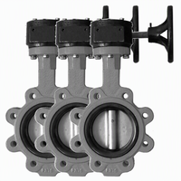 Válvula de Mariposa Tipo Lug de Bajo Precio, Cuerpo de CI/DI/SS304, Sello de PTFE/EPDM/NBR, Operación Manual/por Engranaje, Estándar DIN/JIS/BS