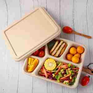 Boîte à lunch en pulpe de bambou écologique à 5 compartiments, emballage à emporter adapté aux cantines scolaires et aux restaurants - Product Image 2