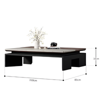 Table basse rectangulaire minimaliste italienne en marbre naturel, plateau combiné, écologique, personnalisable, table de salon de luxe