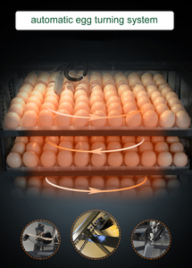 Nouvel incubateur automatique <span class=keywords><strong>Gongle</strong></span> GL-1056 pour œufs de volaille, capacité de 88 à 14784 œufs, alimentation solaire/électrique, pour œufs de poulet - Product Image 6