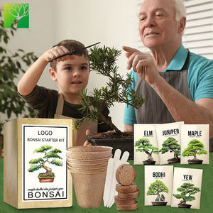 Mini kit <span class=keywords><strong>de</strong></span> culture biodégradable Ensemble d'arbres originaux pour la maison et le jardin Pépinière Feuille d'érable <span class=keywords><strong>Orme</strong></span> Genévrier Topaze-pour cultiver la vôtre! - Product Image 2