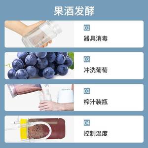 Fruit <b>wine</b> and fruit vinegar fermentation apparatus, biological experimental equipment, yeast anaerobic science student - Product Image 3