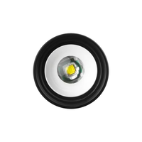 Linternas y Antorchas con Zoom para Acampar al Aire Libre, Mini Linterna LED con Batería Integrada, Linterna Táctica