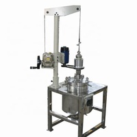 Réacteur de pyrolyse à flux direct à double enveloppe Borui 50L, réacteur chimique de craquage thermique à l'échelle pilote pour les déchets de biomasse et de plastique