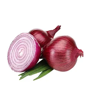2021 Fresh High Quality 10kg/20kg Mesh Bag Red Peeled Onions In Bulk Wholesalers Not From Holland