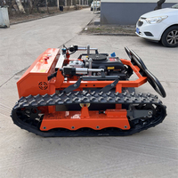 Robot Mini Beroda Rantai 550mm/800mm untuk Kebun Rumah & Pertanian Kecil, Mesin Pemotong Rumput RC