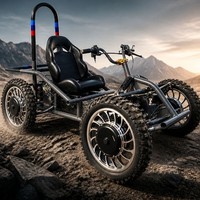 UTV Todoterreno Eléctrico 4x4 de 60V y 8000W, Go-Kart, Buggy Eléctrico para Dunas, Personalización OEM para Uso en Playa, Montaña y Granja