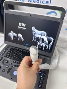 Ecógrafo Veterinario Sonoscape E1V E1, Ecógrafo en Blanco y Negro para Uso Veterinario y Venta para Clínicas y Hospitales de Mascotas - Product Image 2