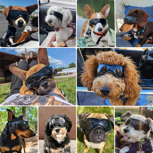 Lunettes de soleil pour chien de petite race, lunettes de protection UV pour chien de taille moyenne - Product Image 6