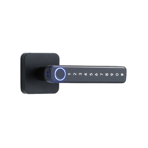 Wenxun <b>Smart</b> Fingerprint <b>Lock</b> Q029 100 Users Apartment Door <b>Lock</b> With Remote Control And Glass Door Compatibility - Product Image 4