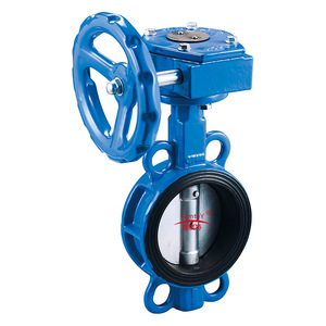 Custom Butterfly Valve DN50 Cast Iron Soft <b>Seal</b> For Water Industry Use - Product Image 3