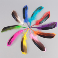 Plumes de canard naturelles, durables et vibrantes en gros, 120 pièces, plumes centrales de canard mallard en vrac pour la décoration de chapeaux et l'artisanat