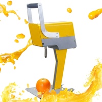 Commerciële automatische ananas-sinaasappelsap fruitpers machine prijs
