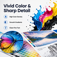 Disolvente Ecológico para 1L CMYK para I3200 XP600 DX5 DX7, Película Reflectante para Impresión Digital, Señalización de Tráfico y Calcomanías de Seguridad