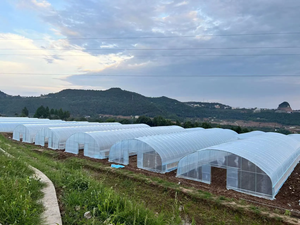 Basso prezzo di plastica agricola serra costo efficace Tunnel serra lunga durata di vendita calda di alta qualità serra - Product Image 5