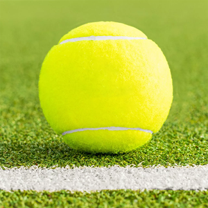 Pelotas de Pádel Personalizadas al por Mayor de Fábrica OEM, Aprobadas por la ITF, Pelotas de Tenis Suaves para Entrenamiento de Perros con Logotipo - Product Image 4