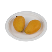 Plaque ronde en bagasse de 7 pouces plaquée sans produits chimiques jetable Plaque de pulpe de canne à sucre