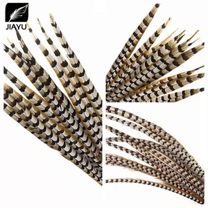 Oferta Especial Pluma de Cola de Faisán Reeves Natural de 60-120 cm para Decoración de Carnaval - Product Image 2