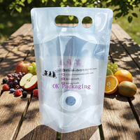 Bolsa Dispensadora de Bebidas Transparente con Grifo, Bolsa Personalizada para Llevar Bebidas, Venta al por Mayor