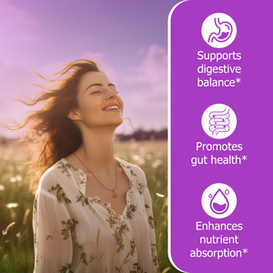 Oem Odm Prebiotic Probiotics Gummies Total Carbohydrate or Flavors Promotes Gut Health Supports Immune Digestive Absorption - Product Image 6