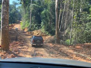 Hot Selling Raw <b>Wood</b> Chengal <b>Logs</b> 24-99/20-23.5/19-19/14-17.5 Meter Diameter Sizes High Quality <b>Wood</b> <b>Logs</b> - Product Image 4