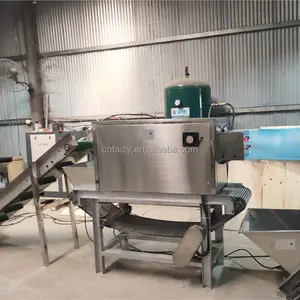 400kg zincir tip sarımsak soyucu ticari kırmızı soğan cilt soyucu soyma makinesi