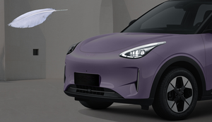 Berlina elettrica Geely Xingyuan 2026 lungo raggio 310km Dream Edition Smart Driving Design elegante in Stock per adulti - Product Image 3