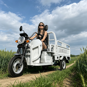 Triciclo Elettrico Passeggeri <span class=keywords><strong>a</strong></span> <span class=keywords><strong>Tre</strong></span> Ruote BEIHAI 2026 Economico Mini Scooter 60V 2000W per Adulti - Product Image 3