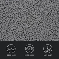 Sable pour chat en bentonite zéro pollution, charbon actif, formule écologique, sans poussière, forte absorption, produit d'hygiène pour animaux de compagnie