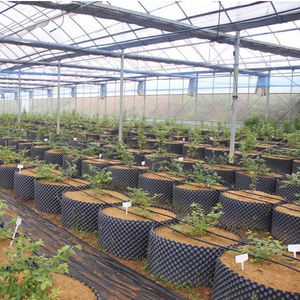 Контейнер для выращивания растений/пластиковый цветочный горшок с корневым контролем, воздушный горшок 40*40, ПЭ корневые горшки - Product Image 6