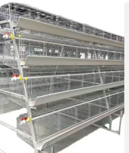 Yeni u-en iyi çelik a-tipi pil kafesleri için kanatlı tavuk tabakası ev tarım kullanımı otomatik uzun ömürlü - Product Image 1