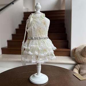 Envío Rápido de Fábrica: Vestidos de Verano de Diseño Suave y Delicado para Perros <span class=keywords><strong>Schnauzer</strong></span> Miniatura, Ideales para Bodas, Fiestas y Festivales de Cumpleaños de Mascotas - Product Image 4