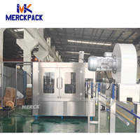 Machine de remplissage et de bouchage automatique rotative électrique PLC pour bouteilles d'eau PET/verre de 5L
