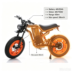 Vélo Électrique Haute Vitesse <span class=keywords><strong>WOSU</strong></span> X9 Chine, Vélo Électrique à Batterie Lithium, Éclairage LED, Pneus 200-4.0, Moteur Brushless, Freinage Hydraulique, Électronique, 750W, Meilleures Ventes - Product Image 3