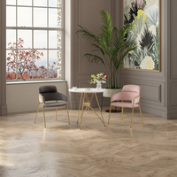 Chaise de salle à manger en métal de luxe légère pour hôtel coiffeuse de salon de manucure commerciale club usage domestique Internet favori des célébrités