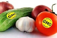 Composteerbare fruitstickers, verwijderbare etiketten voor groenten, aangepaste etiketten voor kleine boerderijen, waar aangepaste groente-etiketten te kopen zijn