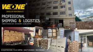 LR038602 LR010432 LR029279 Componenti Auto, Gruppo Pompa Carburante Diesel per Land Rover Freelander <span class=keywords><strong>2</strong></span> <span class=keywords><strong>2.2</strong></span> - Product Image 4