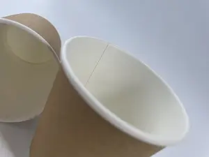 Biodgradable Hot Paper Cup Double Wall Kraft Paper With Lid